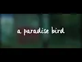 Russ ~ Nobody Knows (Lyrics)
