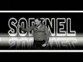Download Lagu LIVE Sorinel Pustiu - Pe o frunza de lalea, iti trimit gurita mea