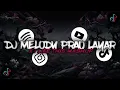 MELODY PRAU LAYAR X I LIKE THIS MASHUP || FREE FLM