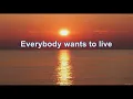 The Bodeans - Closer To Free (HD/Lyrics)