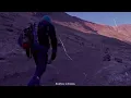 León Larregui - Birdie [Letra + Vídeo Oficial]