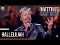 Download Lagu Jan Rot – Hallelujah (Matthijs Gaat Door in Concert)  | Matthijs Gaat Door