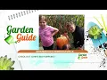 Garden Guide Q A Featuring Alex Calamia Pumpkins