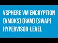 VMware vSphere VM Encryption hypervisor-level feature encrypts sensitive VMs
