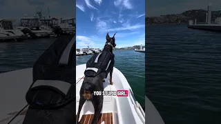 Moments after diving in after a seal #fyp #dream #youtube #pets #doberman