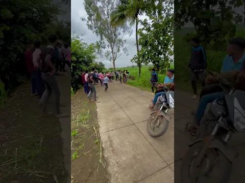 kolhapur dog res | #greyhound
