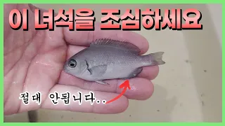 모르고 키우다가 수조 다터집니다