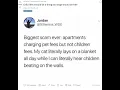 Taking A Look at Reddit s