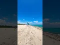 Download Lagu Haulover Park miami nude beach #hauloverpark #miami #nudebeach #travel #us #billieeilish