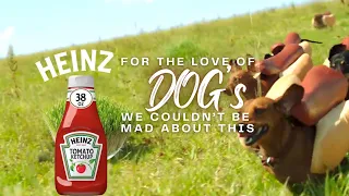 heinz ketchups 