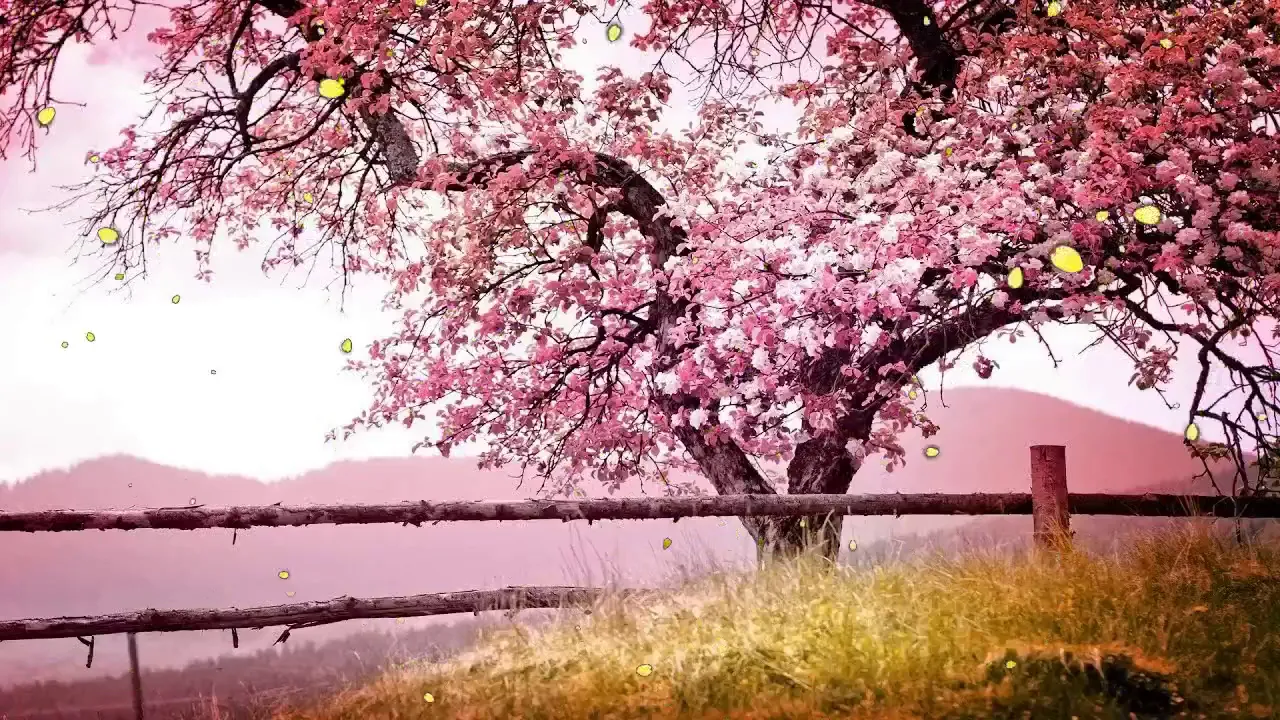 7 Hours of Relaxing Sleep Music Soft Piano Music, Sleeping Music, Sweet Dreams ★ 7 Hours of Relaxing Sleep Music Soft Piano Music, Sleeping Music, Sweet Dreams ★