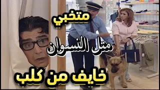 فرصة عمر عندو فوبية من الكلاب لحقه كلب بالشارع مات رعبة عباس النوري ومها المصري دندنها