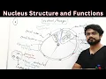 Nucleus Nucleolus Nuclear Membrane Structure and Function Hindi Cell Anatomy Physiology
