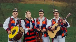 amalia ioana moldovan i grupu voia bun m s lesc bine s fac 