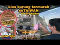 Download Lagu kios burung di taiwan ngombyok kenari lokalan burungnya murah2 di kios ini