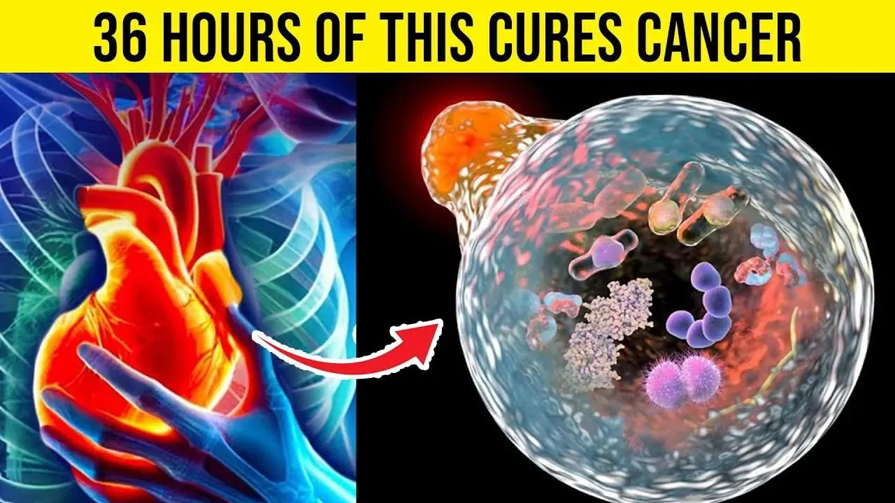 WHAT HAPPEN WHEN YOU STOP EATING FOR 36 HOURS BY | Barbara O’Neill (Video)
