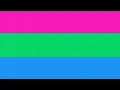 Polysexual Flag Meaning