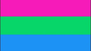 Polysexual Flag Meaning