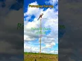 Download Lagu Perangkap Burung Pentet / Burung Cendet