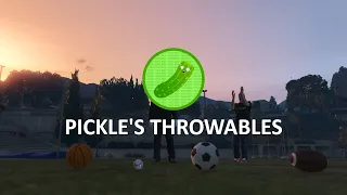FREE Pickle s Throwables Football Soccer Baseball and Basketball