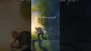 چشم من هرگز ندیده آدم بی درد را دکلمه شعر فارسی غمگین احساسی زندگی Shortvideo Poetry 