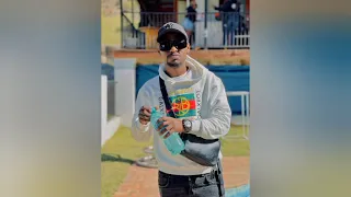 mr thela sthunzela