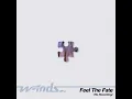 Feel The Fate (Re-Recording)