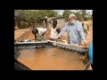 Download Lagu Kenya Miners part 4: Recovering 2-3 times more gold using our shaker table than sluices