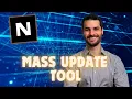 Mass Update Tool in NetSuite