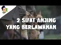 Lagu Anjing Hewan Terbaik || Gus Baha