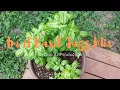 Download Lagu Im A Basil Jazz Mix - By DailyLitProduction