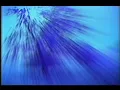 Parallax - Blue