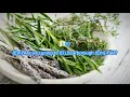 Scarborough Fair by Simon and Garfunkel play along with scrolling guitar chords and lyrics