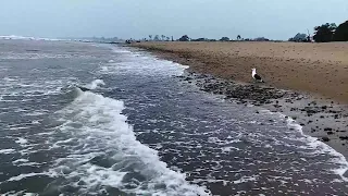 CARPINTERIA STATE BEACH 6PM LIVE