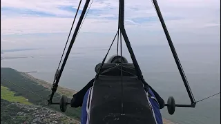                     دندنها