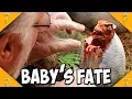 Download Lagu What happened to the BABY RAPTOR in Jurassic Park