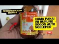 Download Lagu BURUAN DICOBA‼️CARA BARU MERACIK DOPING BURUNG  SOGON BIAR GACOR