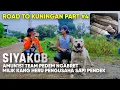 Download Lagu ROAD TO KUNINGAN PART #4‼️SIYAKOB AMUNISI TEAM PEDEM NGABRET MILIK KANG HERU PENGUSAHA SAPI PENDEK‼️