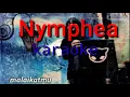 Download Lagu Nymphea-malaikatmu | karaoke~ROKE channel