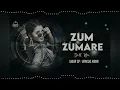 Download Lagu ZUM ZUMARE DOLL MIX BY DJ VAMSHI MBNR AND DJ SHIVA SP
