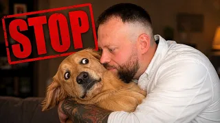 7 Human Behaviours Dogs HATE
