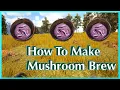 Mushroom Brew Ark Fjordur