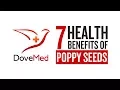 7 Health Benefits Of Poppy Seeds