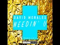 David Morales - Needin U - Radio Edit - David Morales & The Face