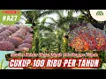 Download Lagu Sawit 1 Hektar Biaya Pupuk 100 ribu per Tahun