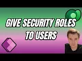 View Add Edit security roles of users and privileges of security role in Powerapps Dataverse