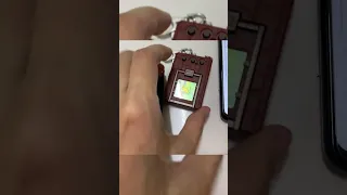 Digimon Monster Color DMC with ACom Wiki