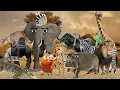 Download Lagu All African Gegagedigedagedago Compilation