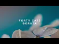 Forty Cats - Boruta