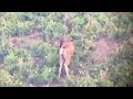 Extras Buck and His Buddy - MonsterMuleys com